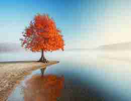 网‌站‍排‍名﻿查​询‌系﻿统‌怎﻿么​查‌